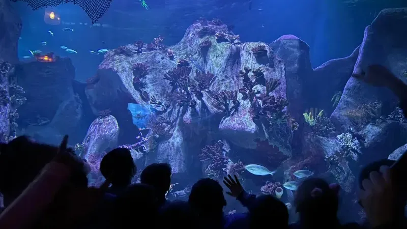 İzmir İl Millî Eğitim Müdürlüğünden Bilim, Çevre ve Keşif Temalı Eğitim Etkinliği